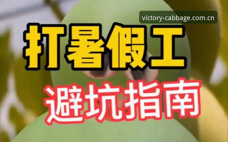 冠军白菜官网新手避坑指南：电脑版下载前必须弄懂的三件事